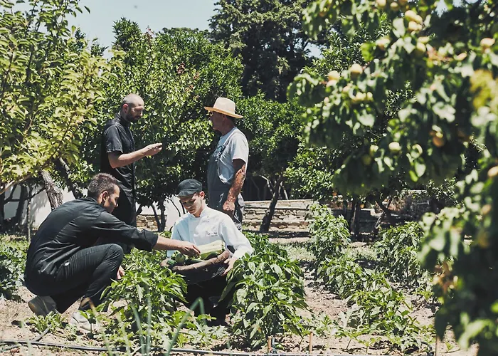 Yria Island Boutique & Параспорос