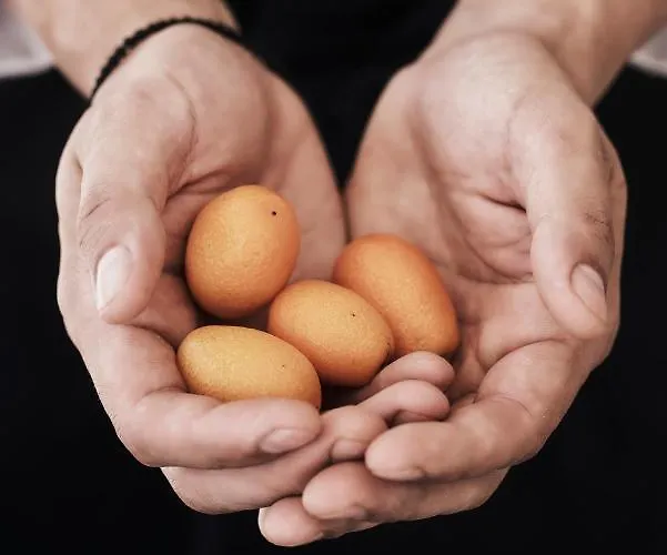 Yria Island Boutique & Параспорос