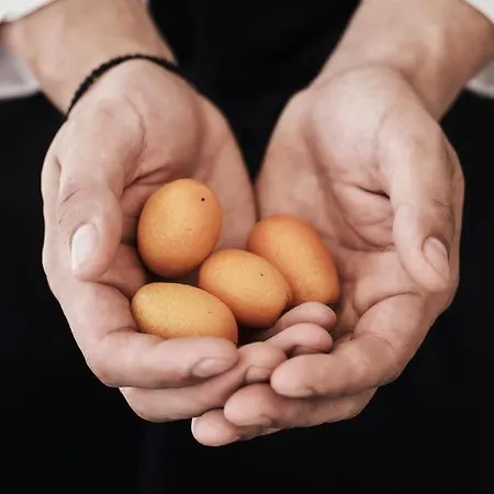 Yria Island Boutique & Parasporos