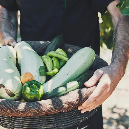 Hotel Yria Island Boutique &