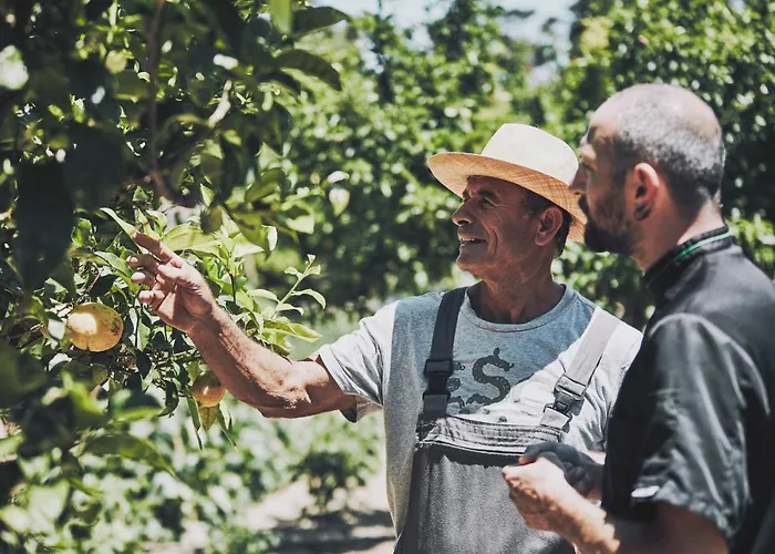 Hotel Yria Island Boutique & Parasporos