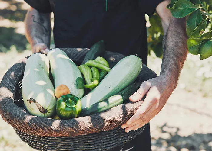 Hotel Yria Island Boutique &